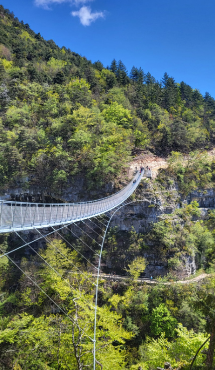 ponte